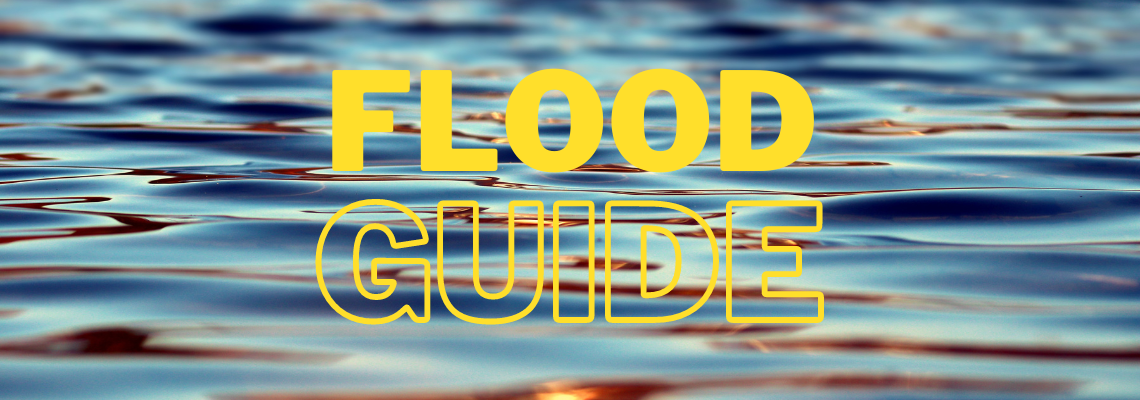 Flood Guide Logo